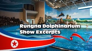 Rungna Dolphinarium Show Excerpts