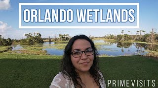 WILDLIFE All Around -  Orlando Wetlands Park