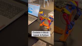 Petoi Bittle X Robot Dog - Coding Lesson Development