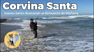 Corvina Pesca Spinning con Señuelo Playa Abierta desde Orilla.