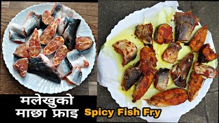 मलेखुको माछा फ्राइ…🐠🐠|| How to fry fish perfectly || Spicy Fish Fry || Malekhu ko Machha Recipe