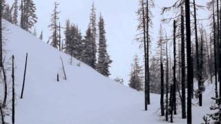 Jesse Johnson Split-boarding in Oregon