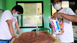 Episode 2 ~~ How to prepare MUSHROOM GRAIN SPAWN  using SORGHUM |  MUSHROOMANCE #