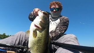 8 Pounder Destroys Whopper Plopper in Super Skinny Water (Lady Bird Lake)