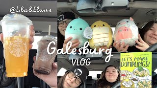 GALESBURG VLOG [ Target shopping POV and Starbucks ]