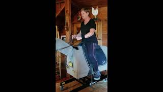 50 Plus Equestrian Posting Trot on the Equicizer