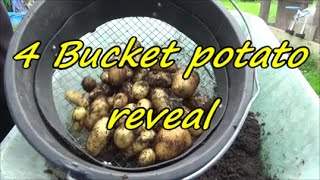 4 bucket potato reveal 09 08 21