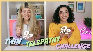 TWIN TELEPATHY: Μπορούμε να φτιάξουμε το ίδιο παγωτό; || fraoules22