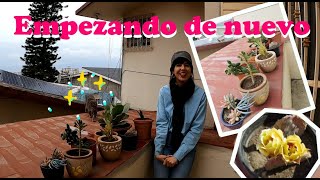 Inicio mi jardín con plantas regaladas y podos| Mi jardín nuevo en Tijuana