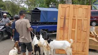 Suasana di parkiran pasar kambing Pandanrejo, Kaligesing, Purworejo, Sabtu, 02 Oct 2021.