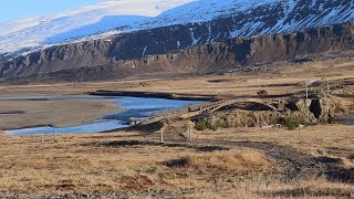 Exploring a Beautiful Iceland Guesthouse in the East Fjords (w/ Reindeer!!)