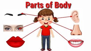 Parts of body name | body of parts name in English & Hindi for Kids.