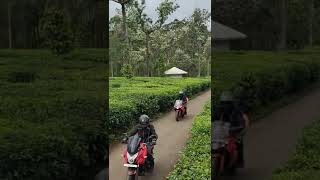 VIPER RIDERS - AOG APACHE OWNERS GROUP / WHATSAPP STATUS NCS BGM TVS RACING kerala munnar  trip ride