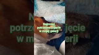 najbardziej potrzebne vs najmniej potrzebne