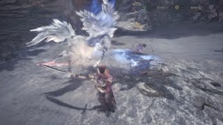 MHW 此聲雷鳴是天罰? - HR49解放