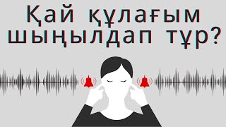 Тынымсыз Құлағымызда Ызыңдайтын Не? | Adam Taný