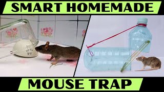 4 Easy Ways to Make A Homemade Mouse Trap Quickly