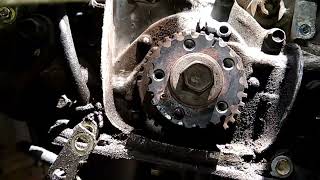 swift timing belt change