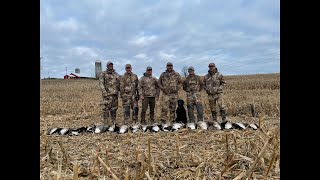 Small corn field goose hunt ( 6 man limit)