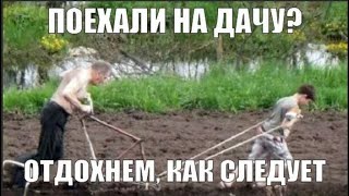 Дача в июне или что делать со сточными водами :)))