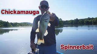 Let's go Spinnerbait Fishing