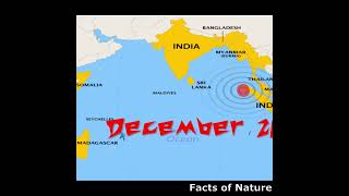 2004 Tsunami Facts