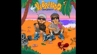 🎧  ALEKO X IGNACIO - LEY   VIBRANDO  [ el-chulo ,los-jimagua ,toby, chris-dany , l-talent-fuego  ]