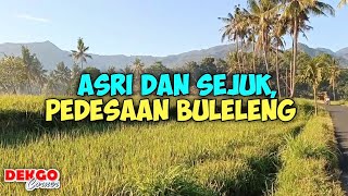 ASRI DAN SEJUK SUASANA PEDESAAN BULELENG | SISI LAIN BALI UTARA