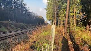 [Jan 2023] Litra MF(IC3) passes through Rold forest || 2-sæt IC3 passerer gennem Rold Skov