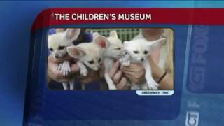 Fennec Foxes on FOX