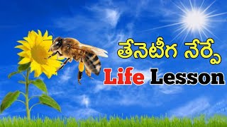 WHAT WE CAN LEARN FROM HONEY BEE//HOW DO BEES INSPIRE US//A LIFE LESSON TAUGHT BY A BE//IN TELUGU