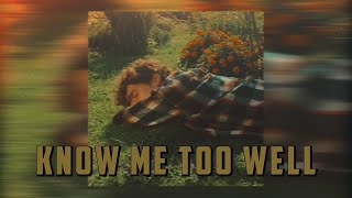 Know Me Too Well - New Hope Club, Danna Paola (Lyrics & Vietsub)