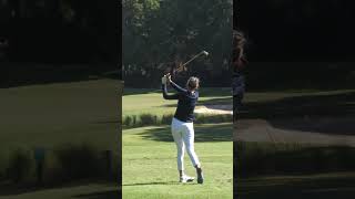 Golf shot