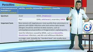 antibiotics 3 penicillins