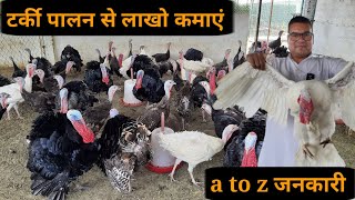 टर्की पालन करके लाखो कमाएं 😱 टर्की पालन की  A to Z जानकारी #tarkifarm #tarkipalan