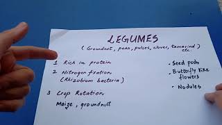 #Legumes# Leguminous plants? How are Legumes useful in #Nitrogen fixation and #crop rotation?