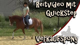 Ich reite Quickstep auf dem Reitplatz - Verkaufspferd Reitvideo