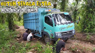 SOPIR TRUK SAWIT | Butuh tenaga extra & skil khusus untuk injak gas | Bengkulu Utara