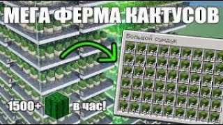 Как построить фармилку кактусов