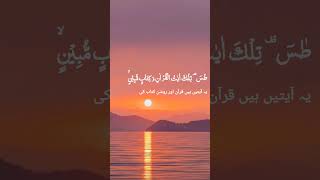 surah namal ki tilawat #allah #quran #islamicrecitation #subscribe #like