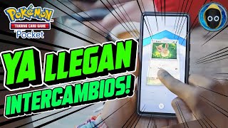 REVELAMOS CUANDO LLEGAN LOS INTERCAMBIOS A JCC POKEMON TCG POCKET GLOBAL Y NUEVAS CARTAS! 12/11/24