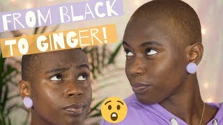 GINGER HAIR WITH BLONDE HAIR DYE!?! | Black to Ginger Hair Color