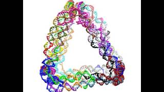 Thermal motion of a DNA nanoprism (top view)