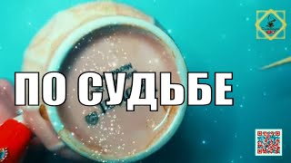 🤌НА ПОРОГЕ💯ПРИ ДОРОГЕ🎈ПО СУДЬБЕ 💥 #ответуолятаро #youtubeshorts #youtube