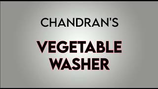 Vegetable Washer Machine