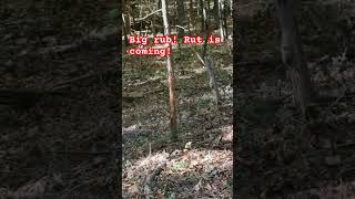 #ytshorts #deerhunter #ruthb #deerhunting #yt #sign #vlog