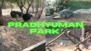 (PART - 2)Aaj Hume Tiger mil gaya 😱 | Pradhyuman Park Rajkot Vlog