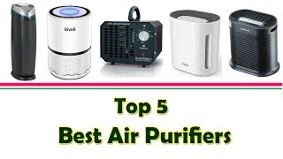 Top 5 Best Air Purifiers  | Best Air Purifiers For Weed Smoke