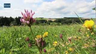 VERKAUFT: Alleinlage in Landschaftschutzgebiet