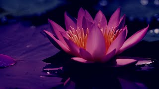 Fall Asleep Fast with Deep Sleep Music 🌺 Tranquil Melodies for a Peaceful Night